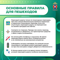 Безопасность пешеходов Безопасность пешеходов.