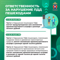 Безопасность пешеходов Безопасность пешеходов.