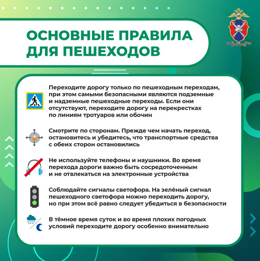 Безопасность пешеходов Безопасность пешеходов.