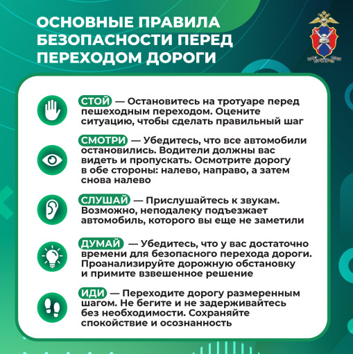 Безопасность пешеходов Безопасность пешеходов.